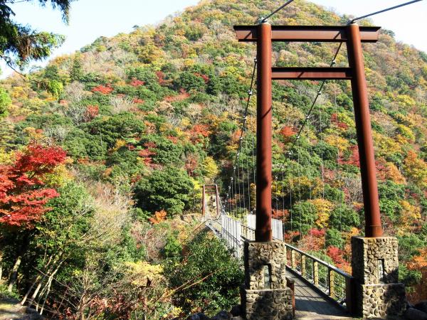 新童子橋と大江山の紅葉の写真