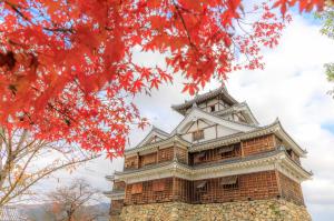 福知山城の紅葉