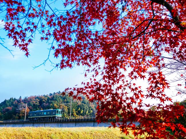 ある朝、秋晴れの紅葉