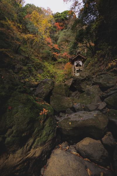 神社とロック