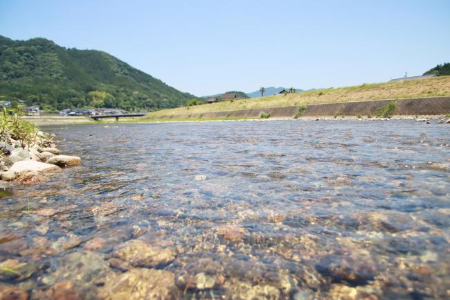 牧川の水面