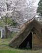 大原神社の画像２