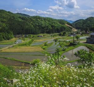 毛原の棚田