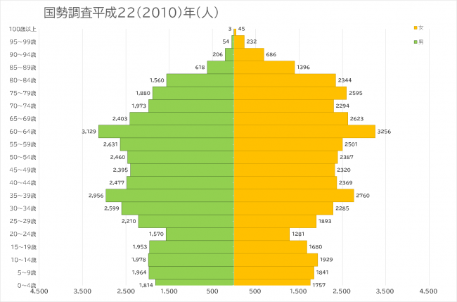 平成22年国勢調査結果人口ピラミッド