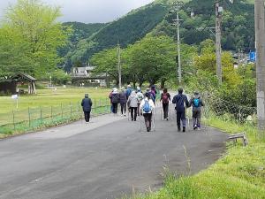 芝生の傍を歩いている写真です