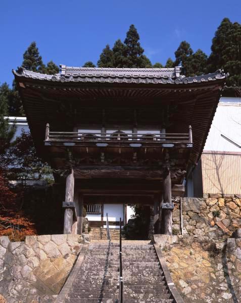 大信寺　山門の画像