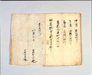 丹州加佐郡河守之内南山分室尾寺御検地帖の画像３
