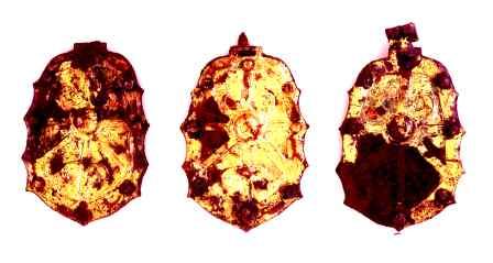 鉄地金銅張杏葉の画像