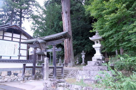 阿良須神社のスギの画像2