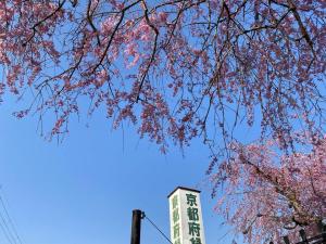 緑化センター（八重紅桜）