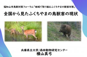 横山教授 サムネイル