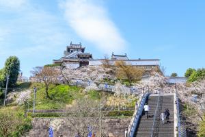 福知山城 春