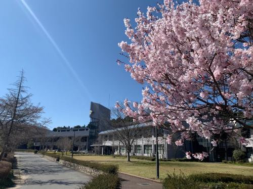 淑徳高校の外観