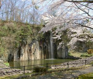 玄武岩公園桜と滝