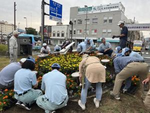 花時計の花の植替え（作業の写真2）