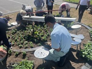 花時計の花の植替え（作業の写真1）