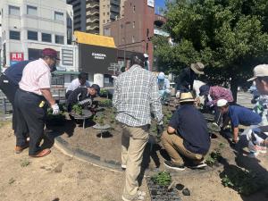 花時計の花の植替え（作業の写真3）