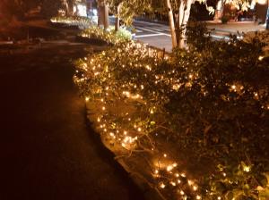 灯篭で彩る光の回廊