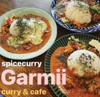 spicecurryGarmii