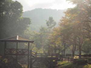玄武岩公園朝日