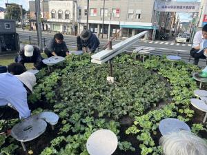 花時計の花の植替え（作業の写真3）