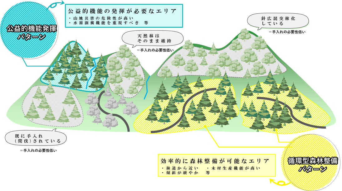 森林整備イメージ図