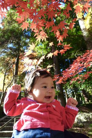 吉田優（はじめての紅葉狩り）