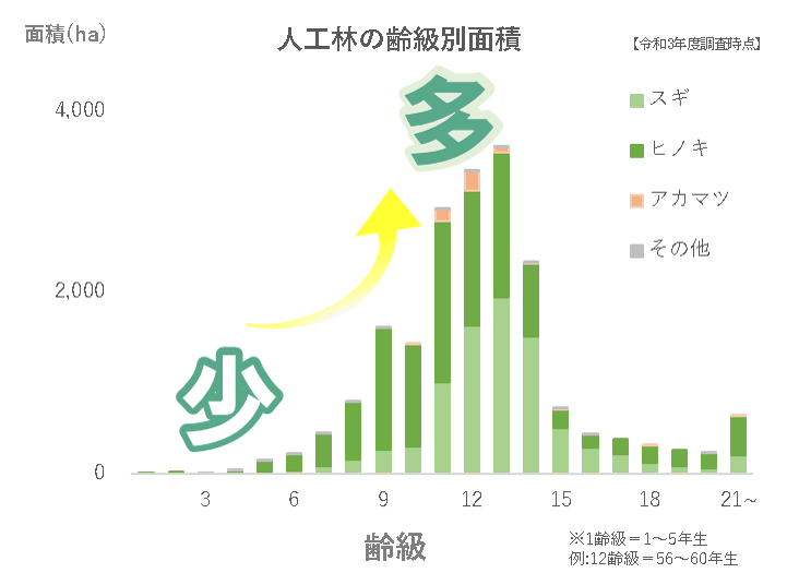 市内の齢級構造