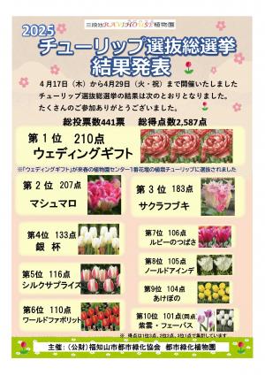 結果発表