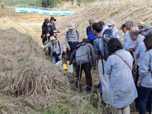 地層についての説明を講師がしている様子です