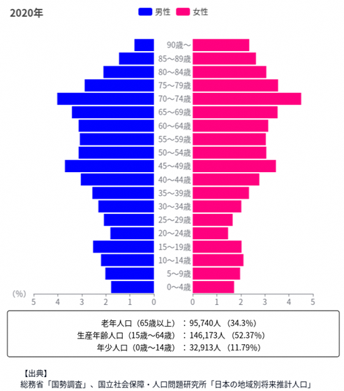 人口ピラミッド