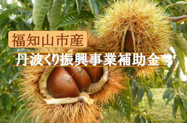 丹波くり補助金