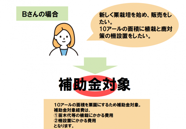 Bさんの場合