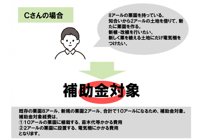 Cさんの場合