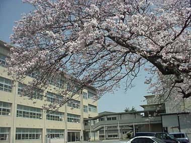 雀部小学校の校舎の外観