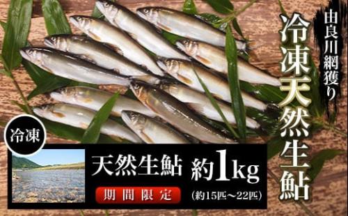 あゆの返礼品