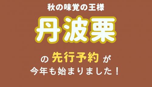 丹波栗の先行予約開始！