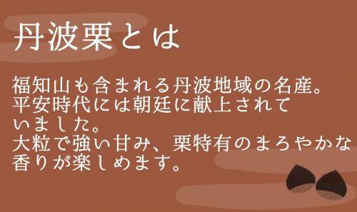 丹波栗とは