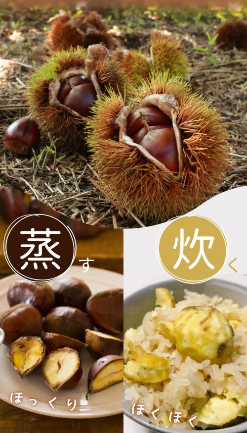 丹波栗はほっくりしています