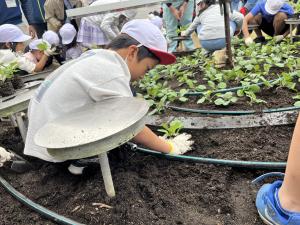 花時計の花の植替え（作業の写真1）