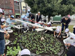 花時計の花の植替え（作業の写真2）