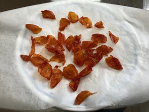トマトの皮乾燥完成