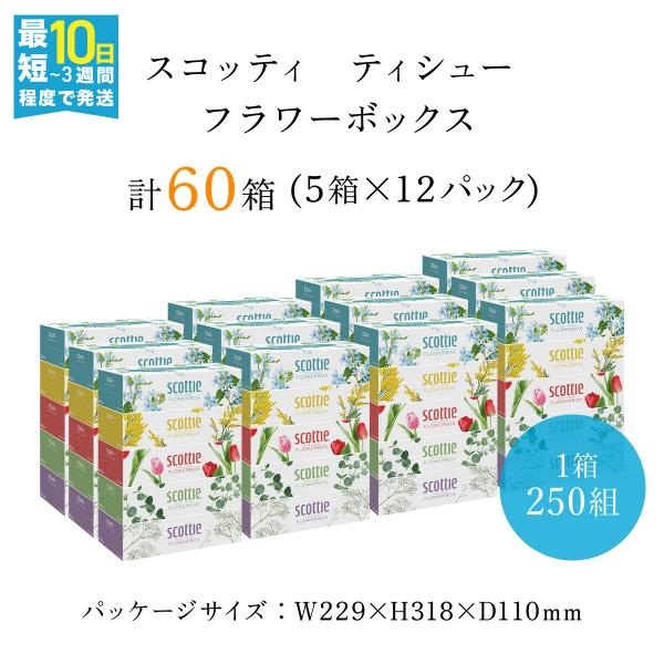 フラワーティッシュ60箱