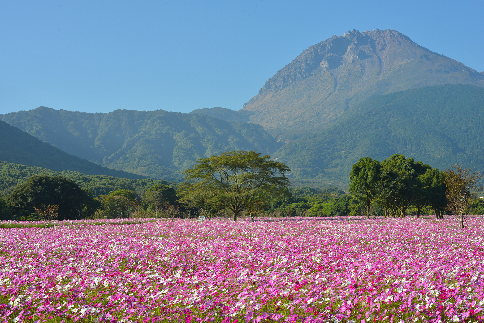 火張山花公園