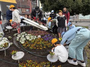 花時計の花の植替え（作業の写真1）