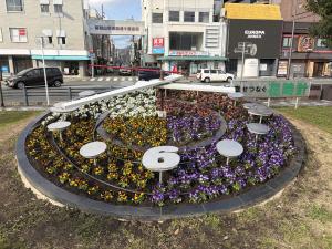 花時計の花の植替え（作業の写真3）