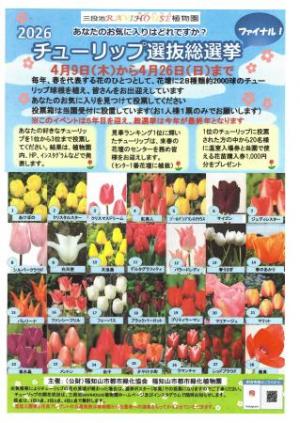 チューリップ総選挙チラシ