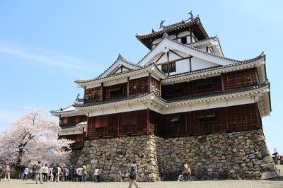 福知山城の写真