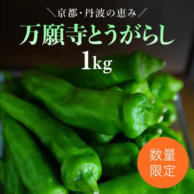 万願寺とうがらしの画像