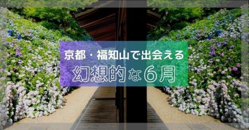 6月のおでかけ先はこちらから